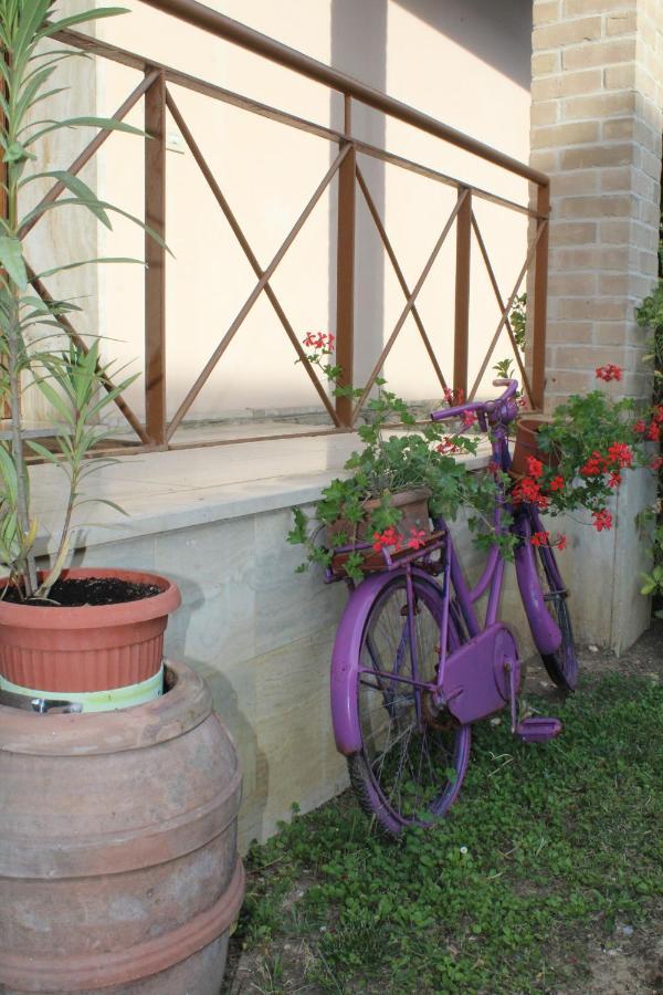 Alle Terme B&B Rapolano Terme Esterno foto